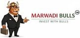 Marwadi Bulls