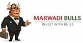 Marwadi Bulls